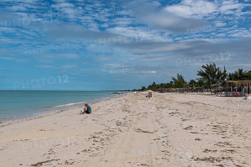 White sand beach in the Rio Celestun Unesco Biosphere Reserve