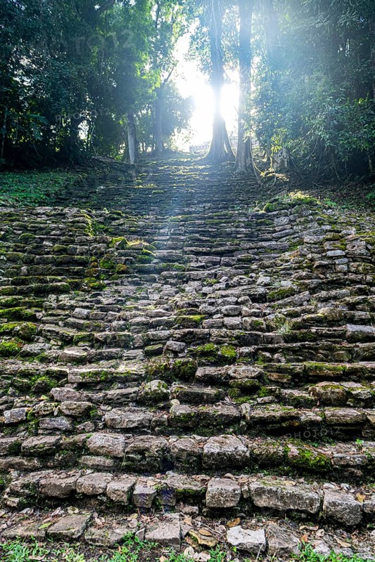 Archeological Maya site Yaxchilan in the jungle of Chiapas