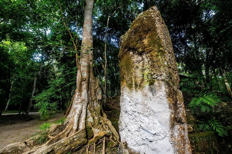 Unesco world heritage site Calakmul