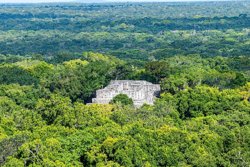 Unesco world heritage site Calakmul