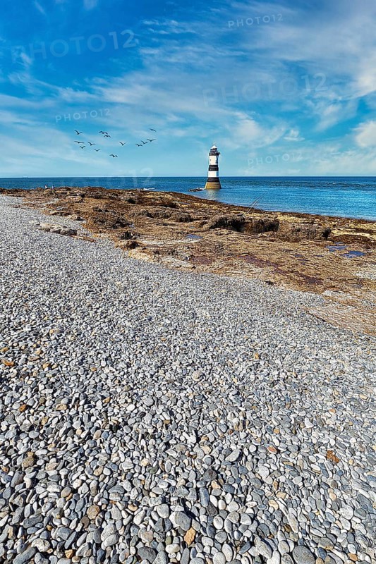 Rocky Coast with Shingle Beach and Trwyn Du Lighthouse