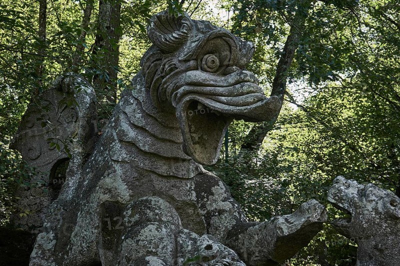Dragon fighting with lion