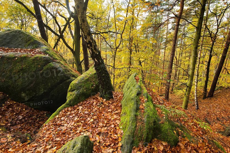 Autumn landscape