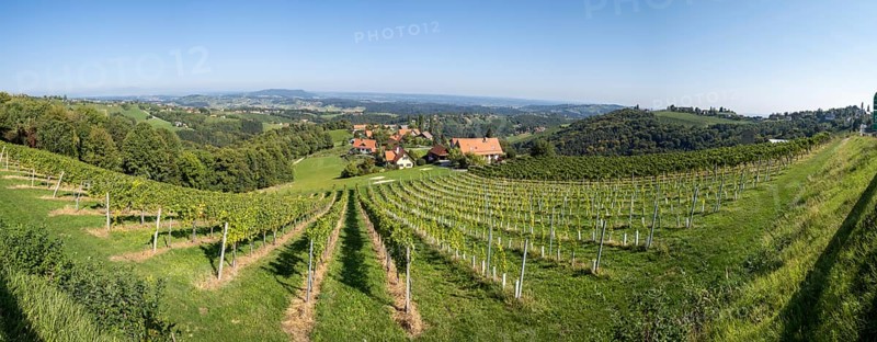 Hilly landscape with vineyards near Kitzeck im Sausal