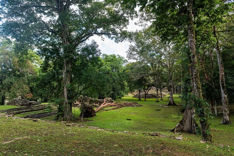 Archeological Maya site Yaxchilan in the jungle of Chiapas
