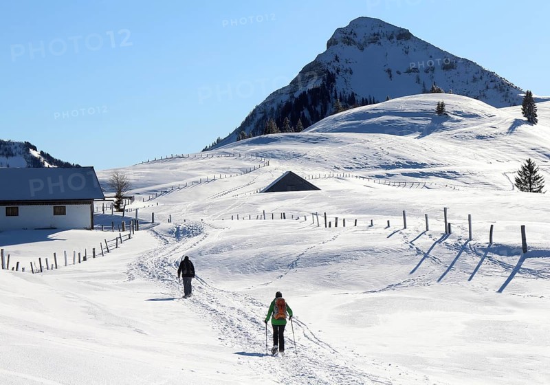 Snowshoe tour in wintry mountain landscape in fantastic weather