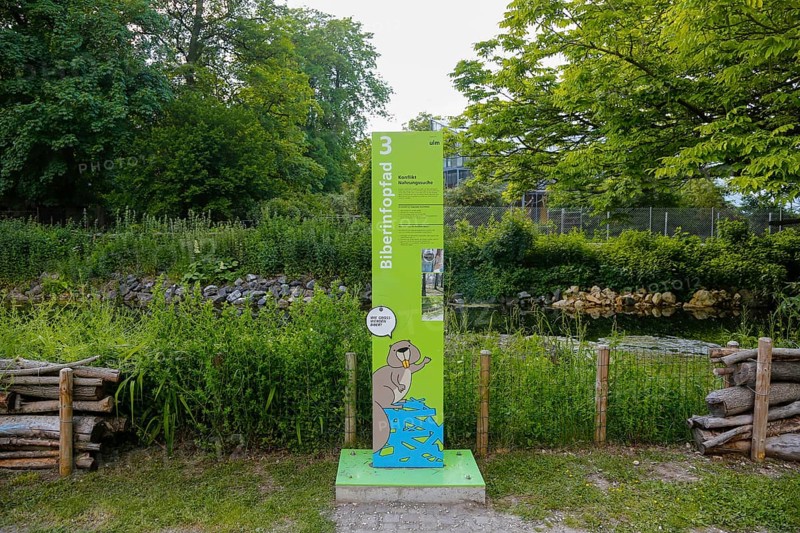 Beaver Trail