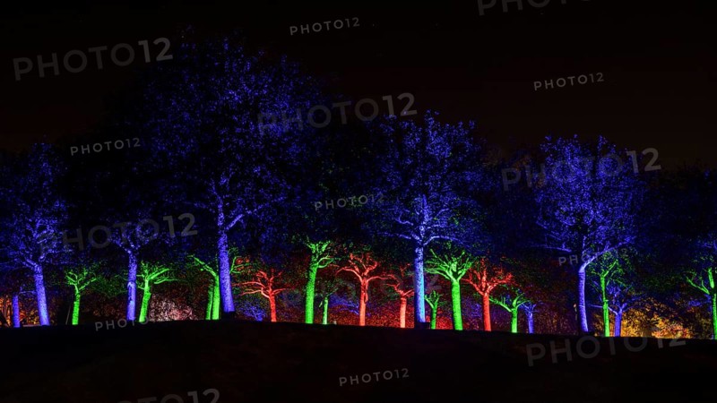 Autumn Lights in the Bridgehead Park