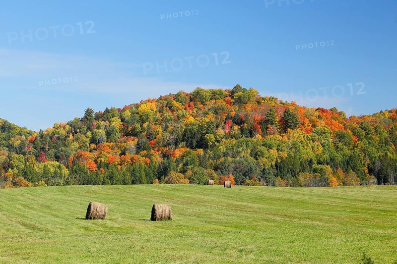 Autumn landscape in the Red River Region