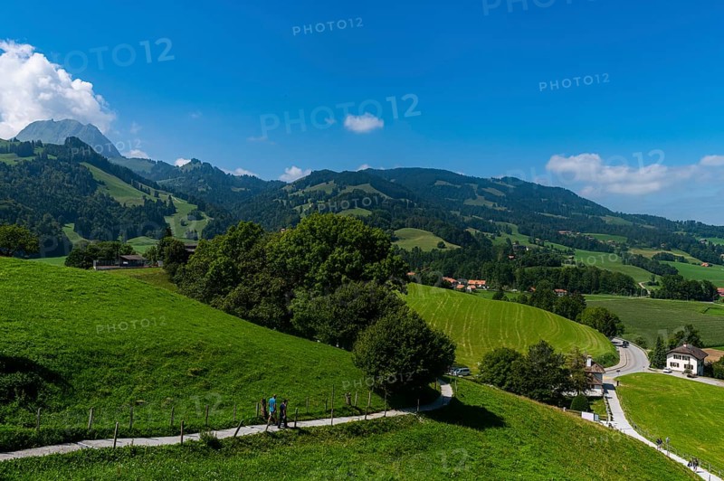 Mountains around the Gruyere castle