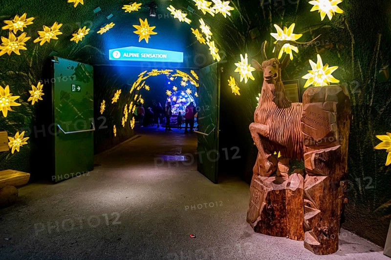 Phantasy sculptures in the Glacierworld