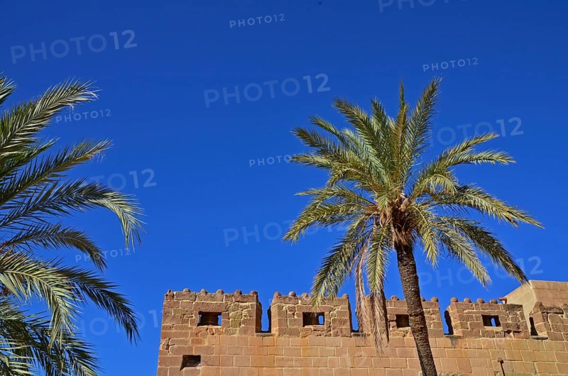 Castillo Marquez de los Velez in Cuevas del Almazora