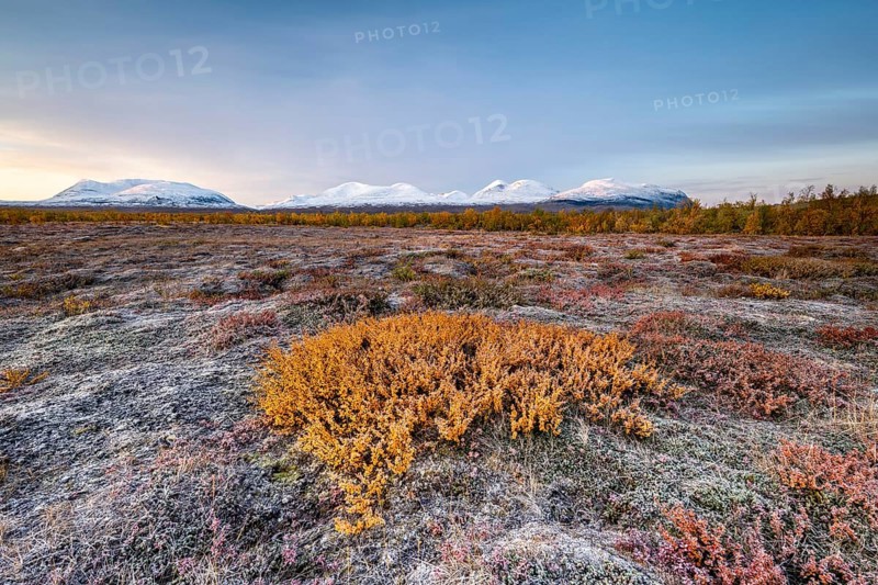 Autumn tundra in front of snowy mountains