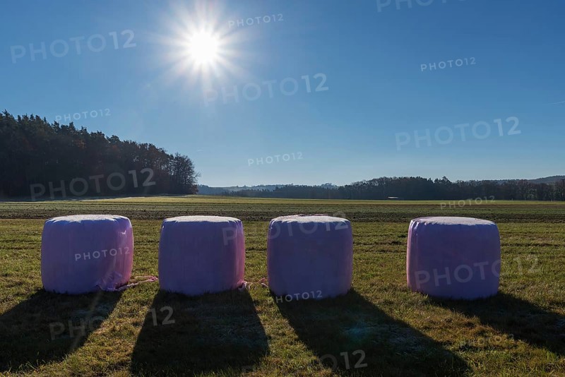 Hay bale in pink wrapped foil on the meadow