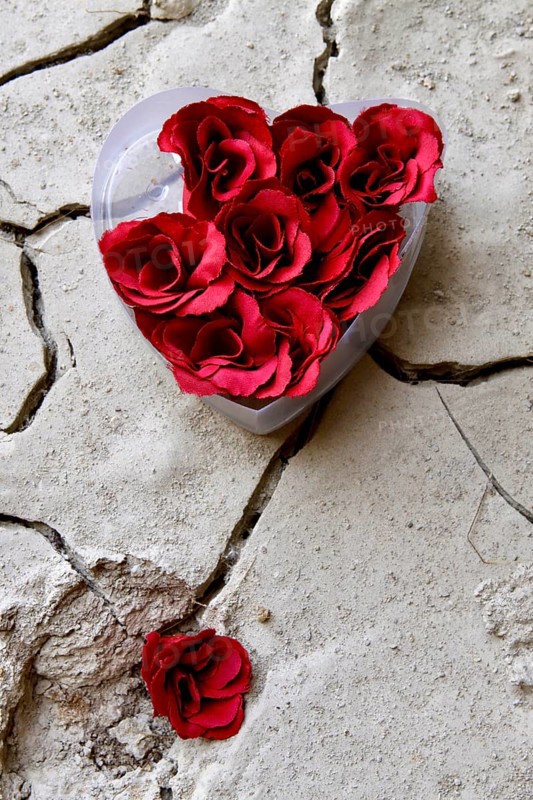 Heart-shaped plastic box with artificial roses on dry clay soil