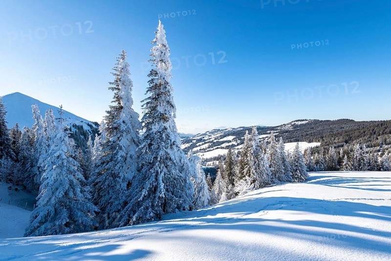 Snowy winter landscape on the Gurnigel Pass
