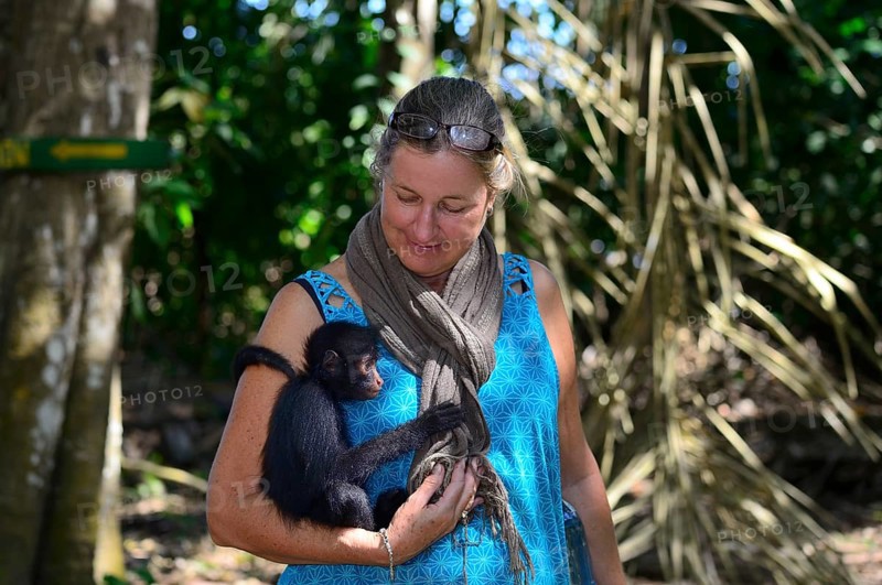 Tourist cuddles with a young peruvian spider monkeys
