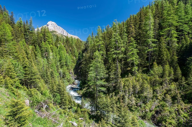 Riedingbach