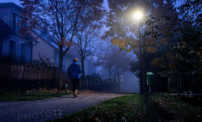 A woman walks her dog through a lonely park in Markt Swabia
