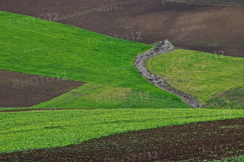 Asymmetrical landscape pattern