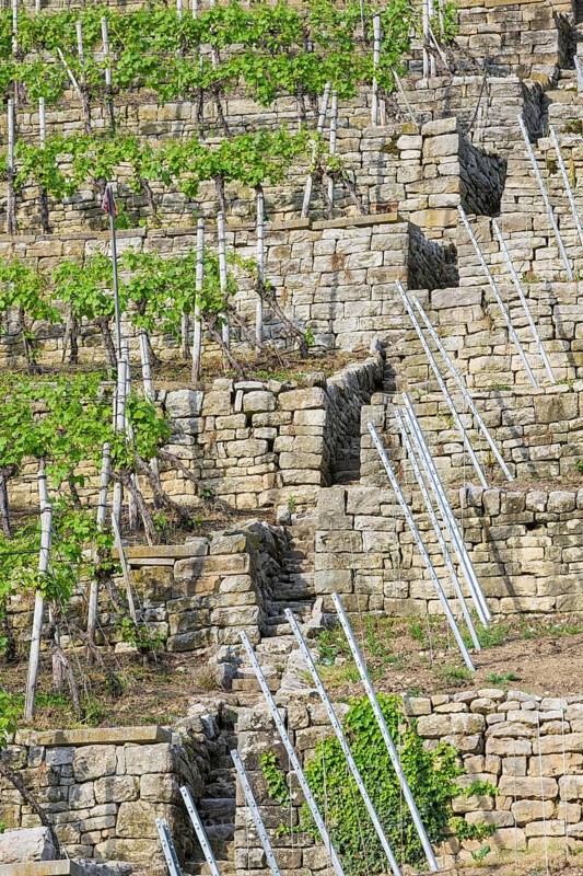 Vineyard stairs