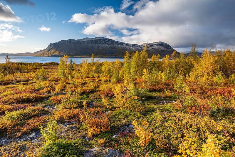 Autumn fell landscape