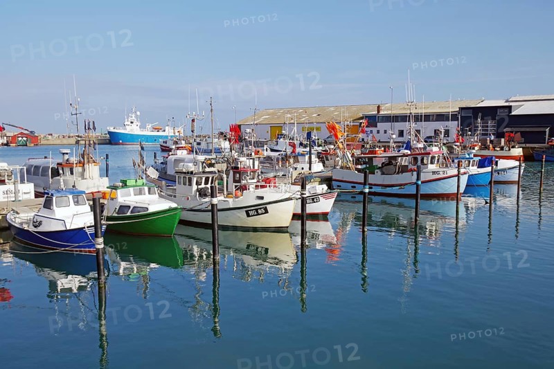 Small fishing vessels reflected in the harbour basin