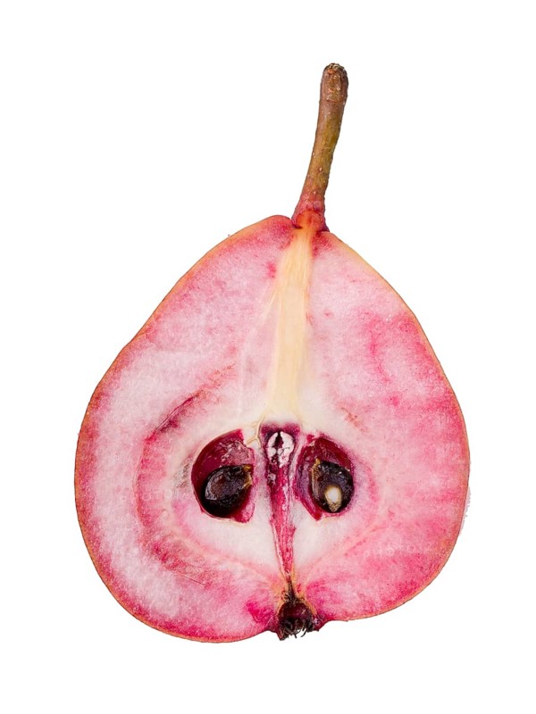 Pear variety Westphalian Blood Pear