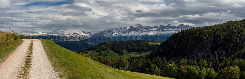 View of Latemar