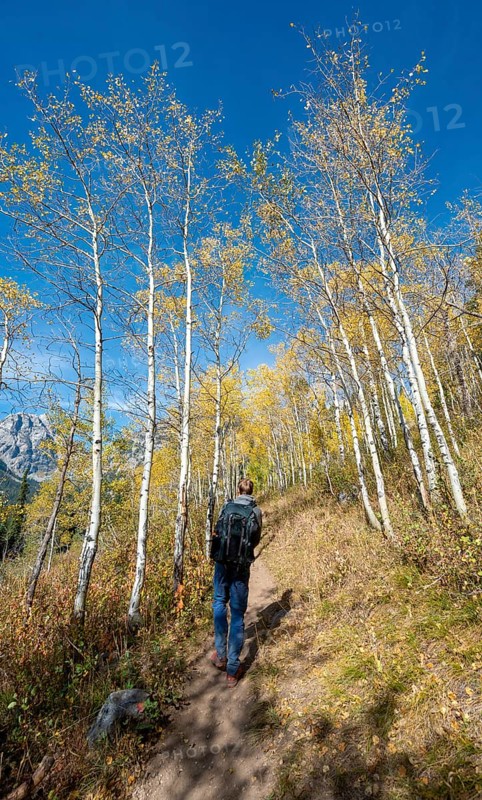 Young man on the hiking trail to Taggart Lake