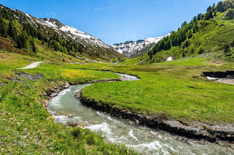 Hinterer Riedingbach flows through Alm in the Riedingtal nature Park