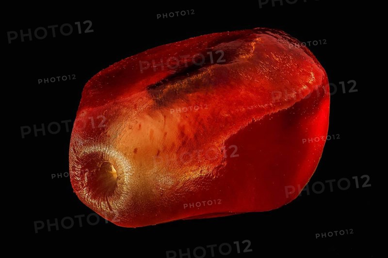 View of a pomegranate seed