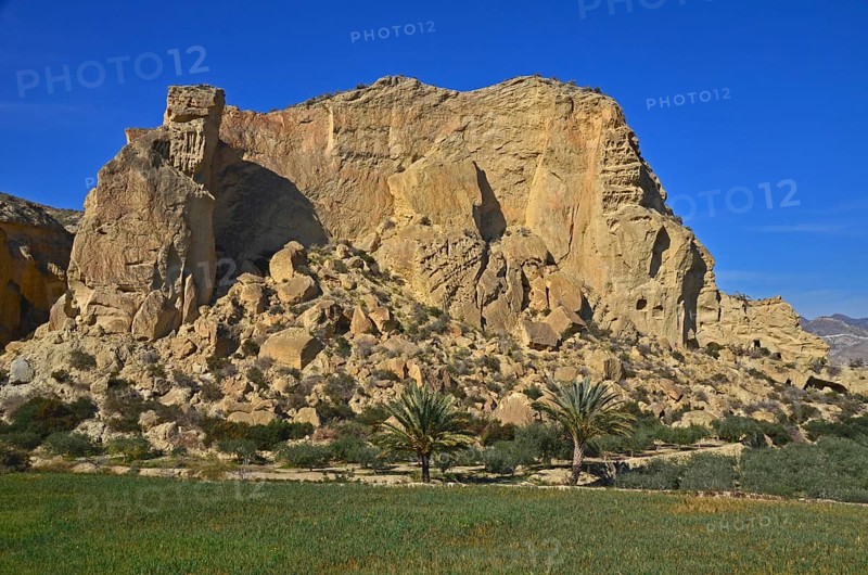 Palm trees in front of rock massif at Calguerin caves
