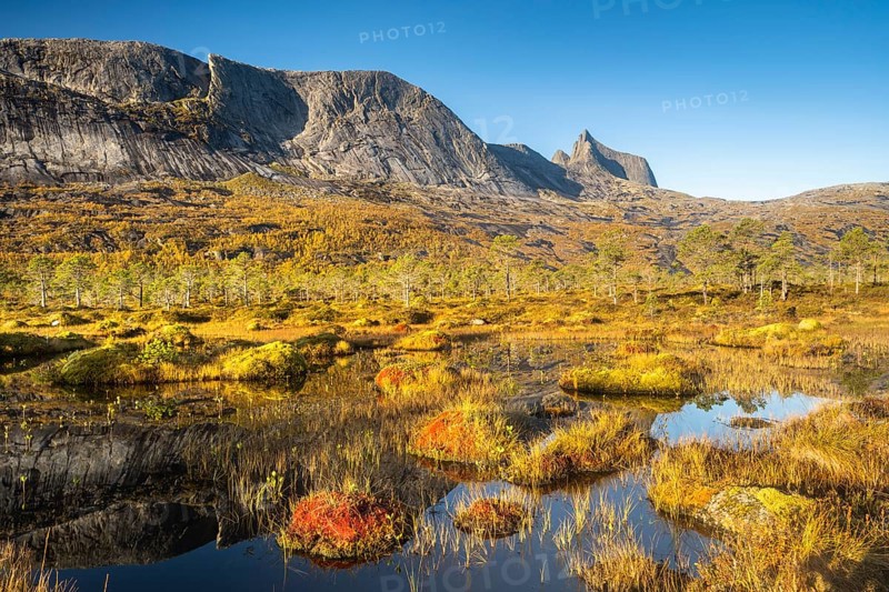 Mount Kulhornet with moorland