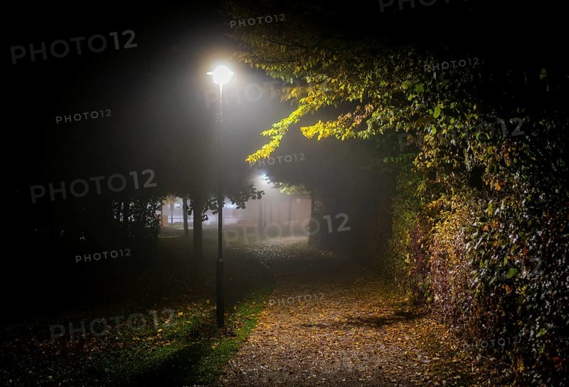 Street lamps illuminate the path in a park in Markt Swabia