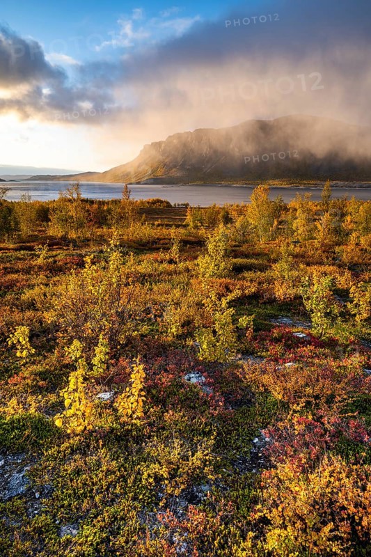 Autumn fell landscape