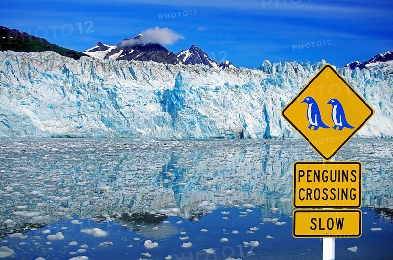 Traffic sign warning of crossing penguins