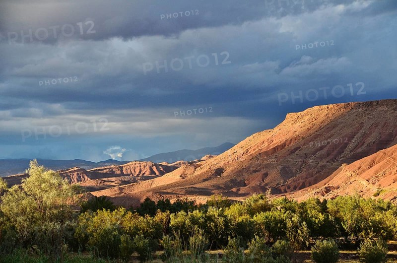 Draa valley with trees and flat mountains in the evening sun