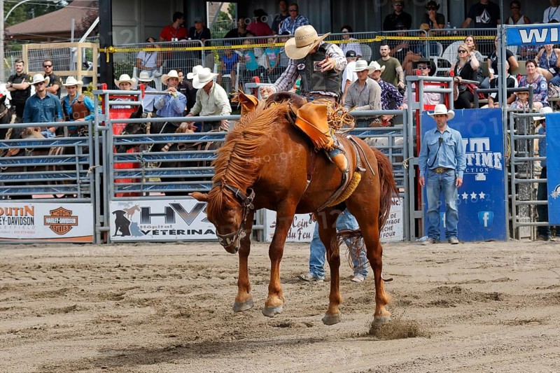 Rodeo competition