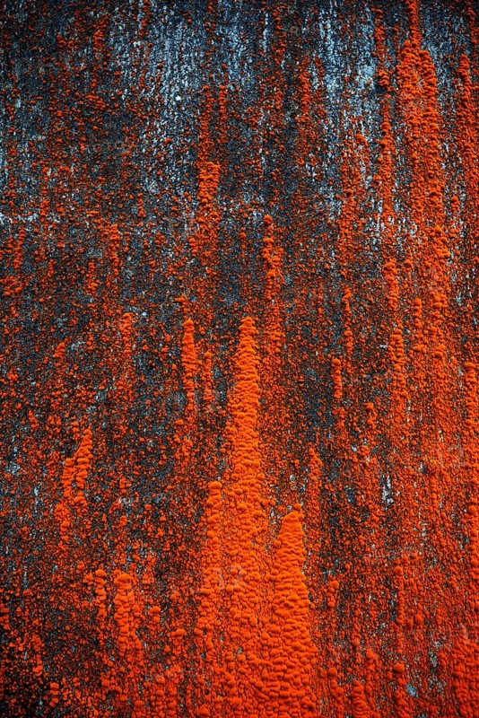 House facade with red algae growth