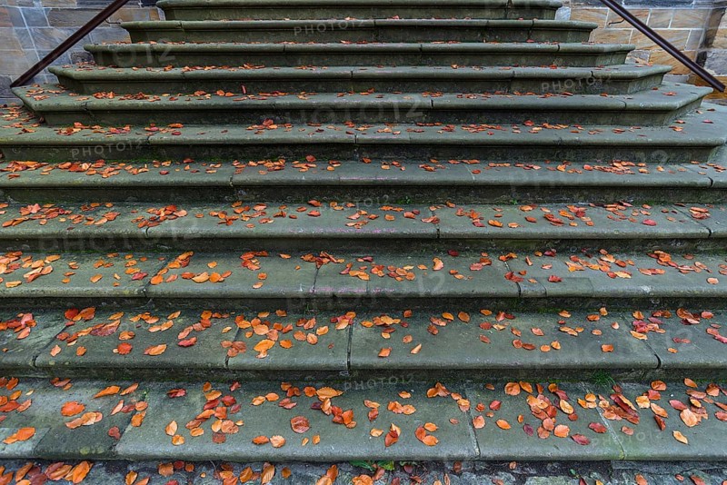 Autumn leaves on the historic staircase to the Diocesan Museum