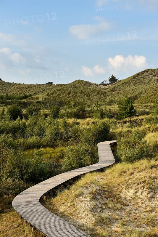 Boardwalk in the dunes near Wittduen