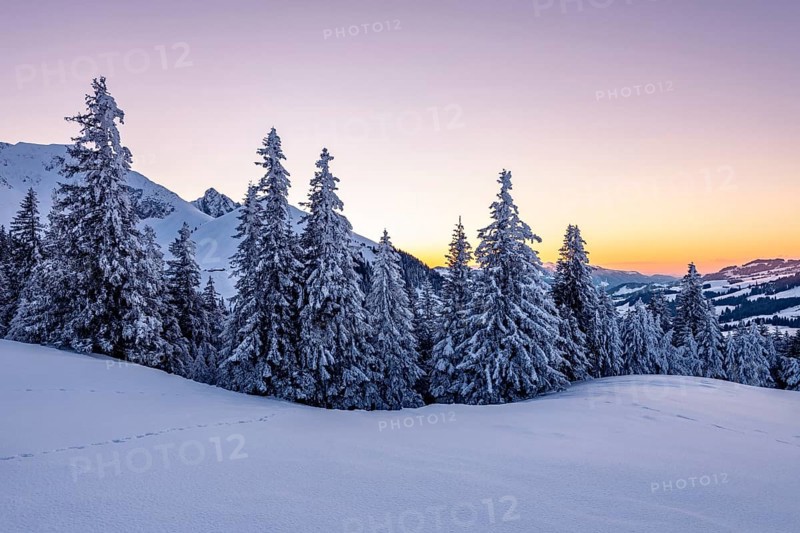 Snow-covered winter landscape on the Gurnigel Pass