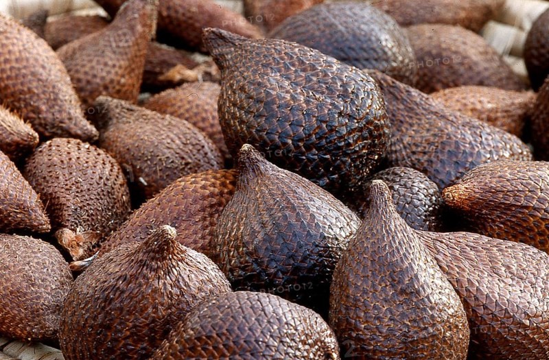 Salak