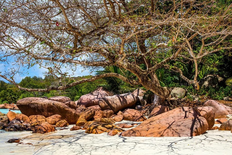 Dream beach with granite rocks