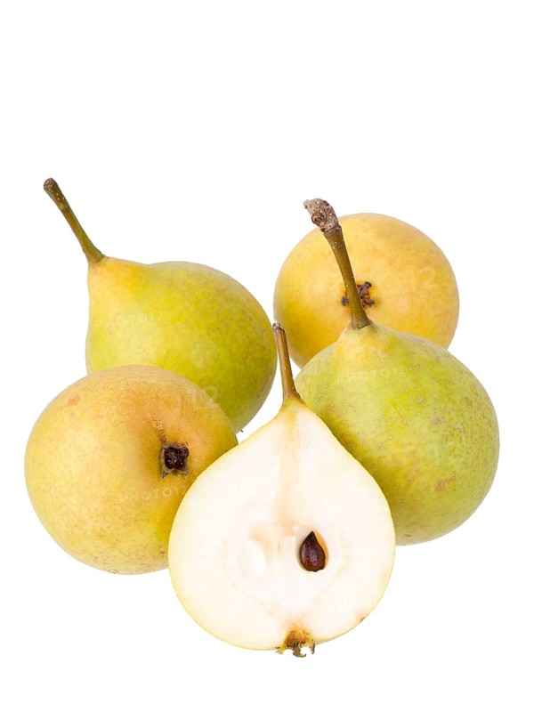 Pear variety Sugar pear