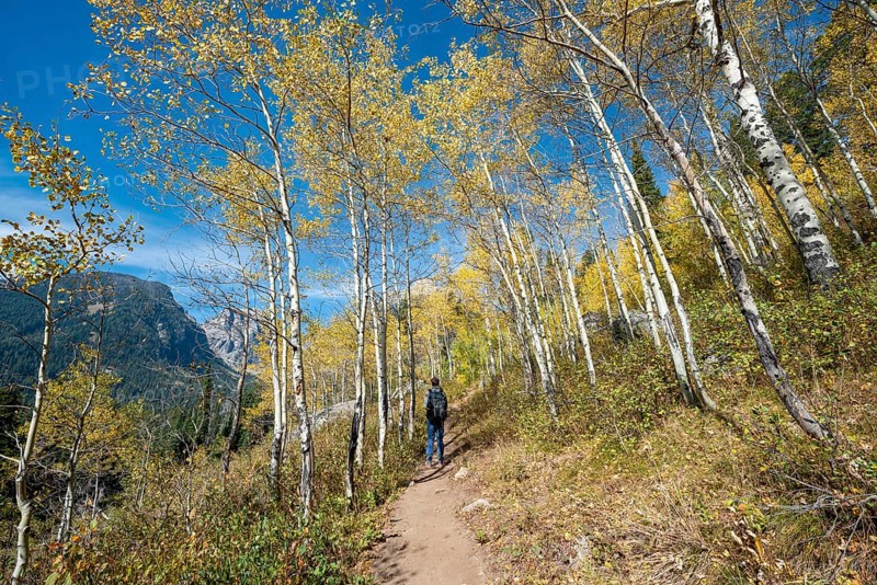 Young man on the hiking trail to Taggart Lake