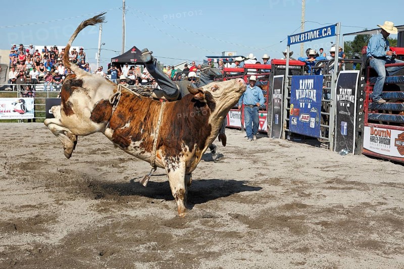 Rodeo competition