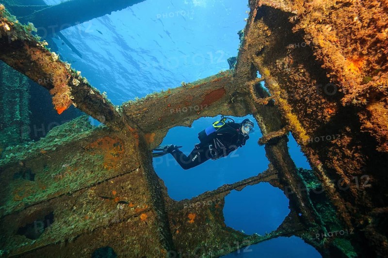 Diver looking into interior of sunken ship decaying rusting shipwreck Elviscot