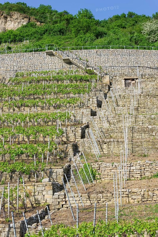 Vineyard stairs